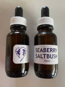 Seaberry Saltbush Flower Essence - Kerrie Searle, Animal Communicator - www.animal-communicator.com.au