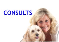Book a consultation with Kerrie Searle, Animal Communicator and Flower Essence Practitioner - www.animal-communicator.com.au